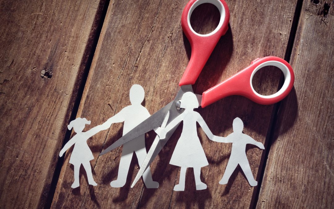 Difference between sole and shared custody of the children